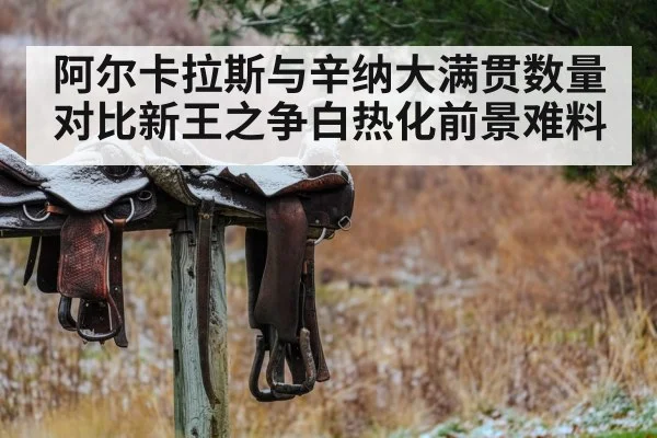 阿尔卡拉斯与辛纳大满贯数量对比新王之争白热化前景难料